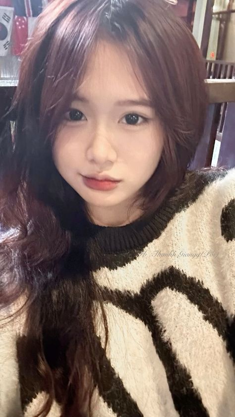 皮卡丘动画片免费观看